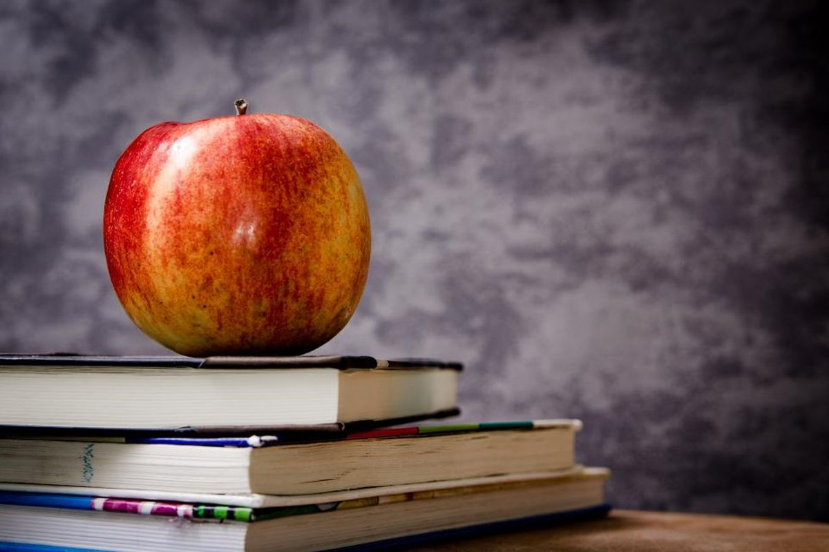 Aula particular ou em grupo: qual é melhor para aprender inglês?