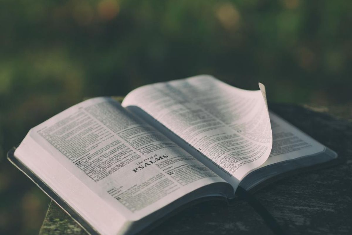 Palavras em inglês que não existem em português